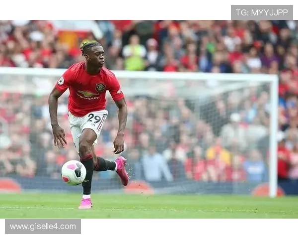 西汉姆数据表现分析